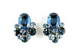 DeLizza and Elster Juliana Blue Oval Rhinestone Earrings