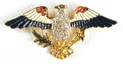 Eisenberg Ice eagle pin