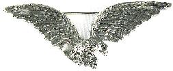 Silvertone eagle in flight pin